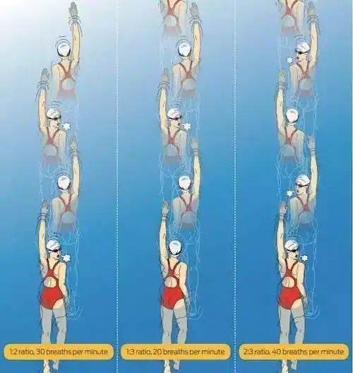 游泳教程自由泳如何才能吸到更多的空气