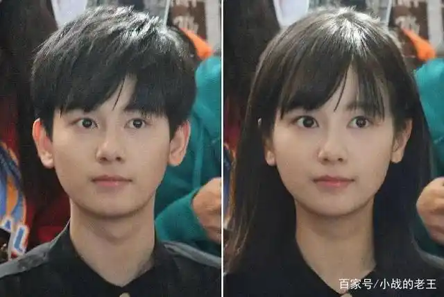 朱正廷?宋伊人?动物世界2搁浅?