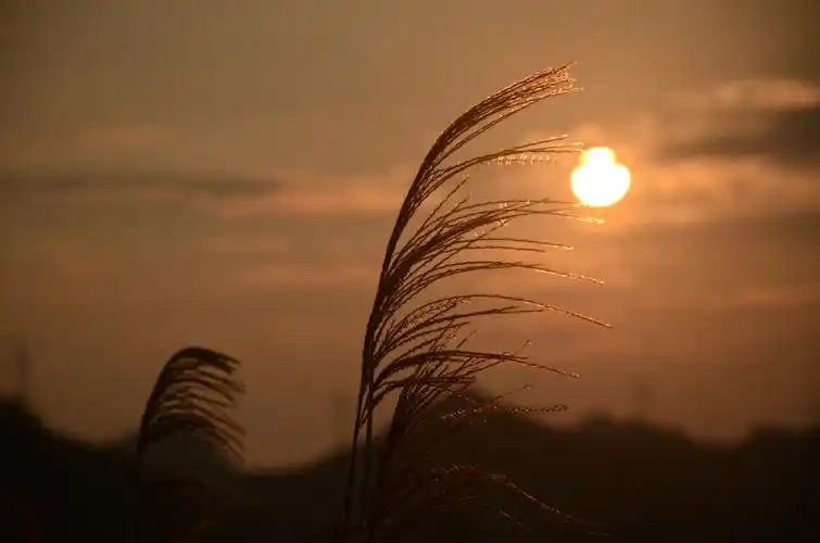 夕阳无限好 最美黄昏时- 中秋佳节观日落 - 美篇