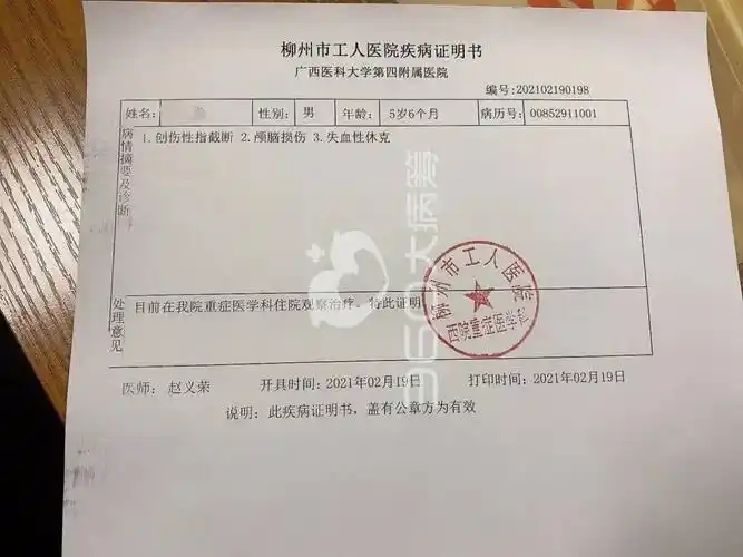 刘先生大儿子的疾病证明书.
