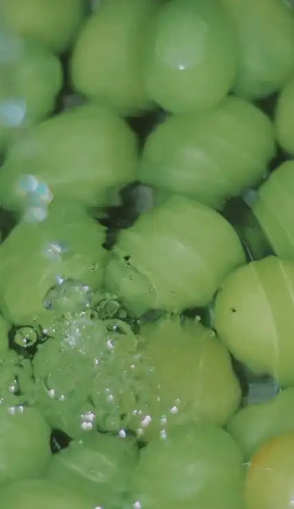 很好看护眼的绿色系壁纸大全 绿色也太好看了叭