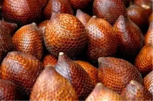 41种不常见的罕见水果图片和名字