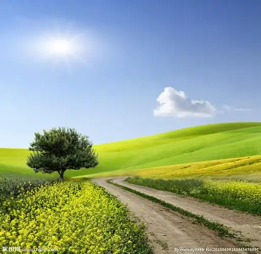 春天郊外风景图片