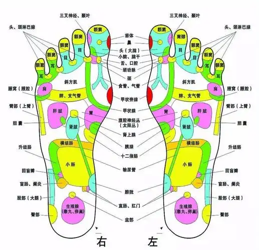 足部按摩手法足底按摩一定要去按摩院吗