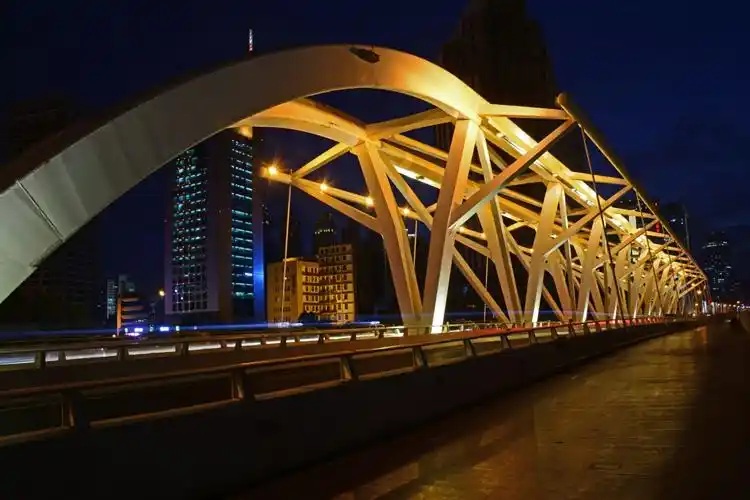 海河上的桥 (六) 进步桥