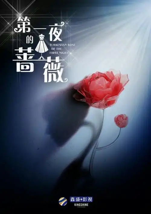 第一夜的蔷薇 海报