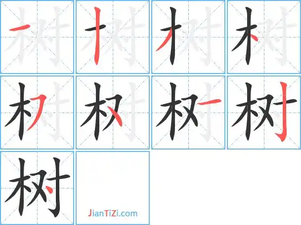 树字笔顺 树字笔划 树字笔画:shu树同音字树组词(2个字)树字组词(3个