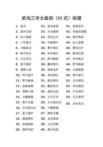 武当三丰太极剑55式剑谱_第1页