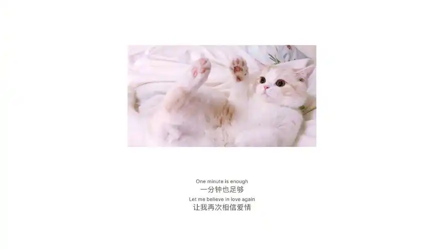 心情话上一图集:遇见秋天,十月再见下一图集:心累心痛心碎的说说图片