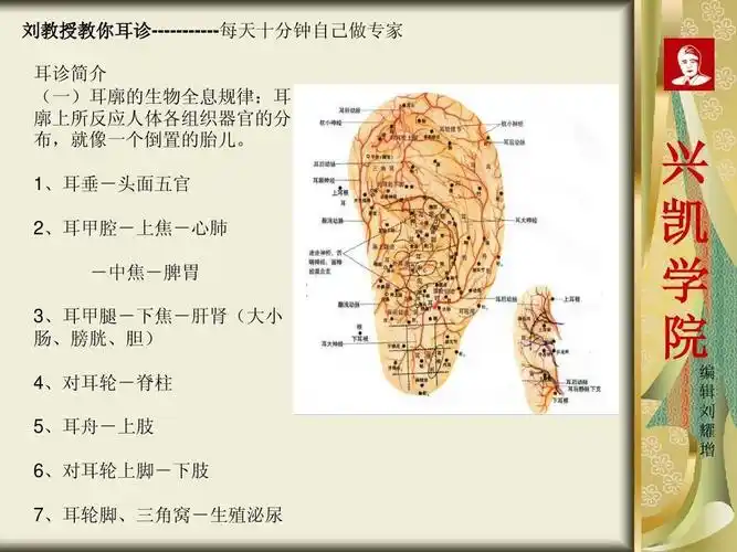 耳诊肿瘤特异区对应图 (第1页)