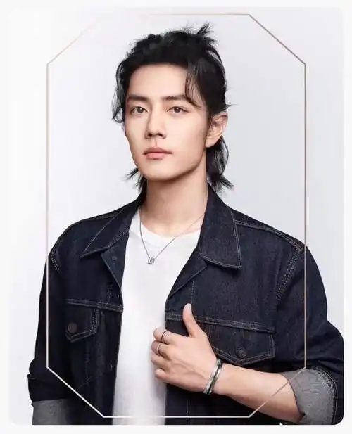 肖战长发高马尾