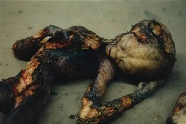 灰人是什么意思灰人的外貌特征