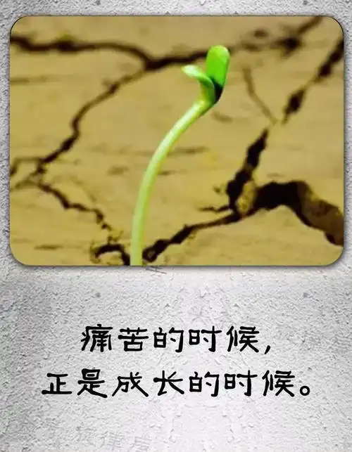 人生感悟:有一张图,绝对是在说你,你信吗?(总结的够狠)