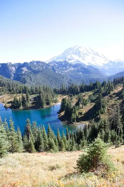 用微信  "扫一扫" 将文章分享到朋友圈.