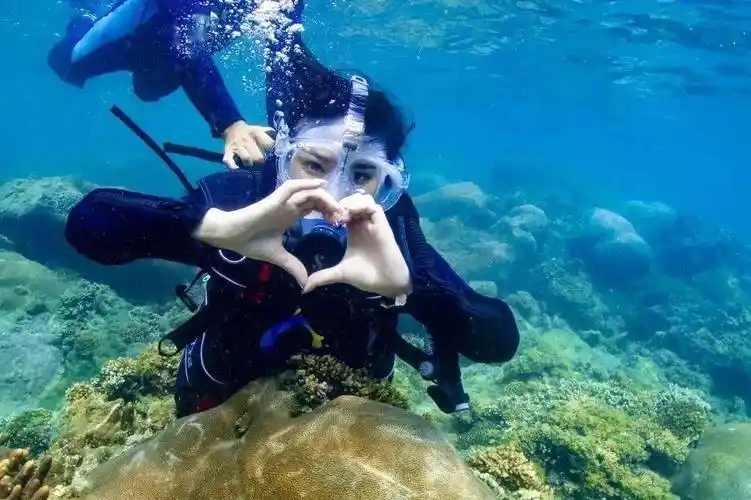 真的不要认为三亚潜水都是坑