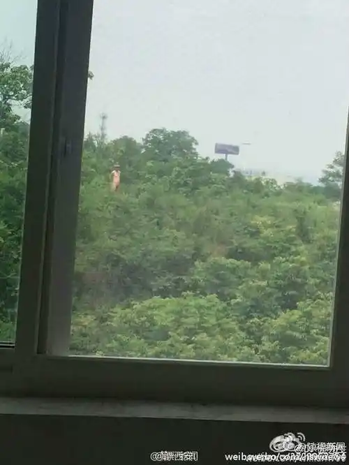 西安高校女生宿舍外现裸男冲着女生一直笑图