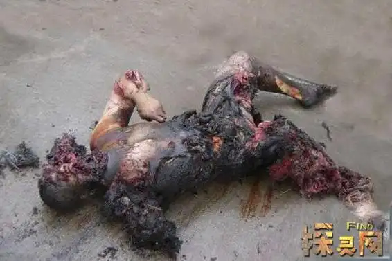 网上广东尸油灵异事件是真的吗尸油制作麻辣烫米线谣言