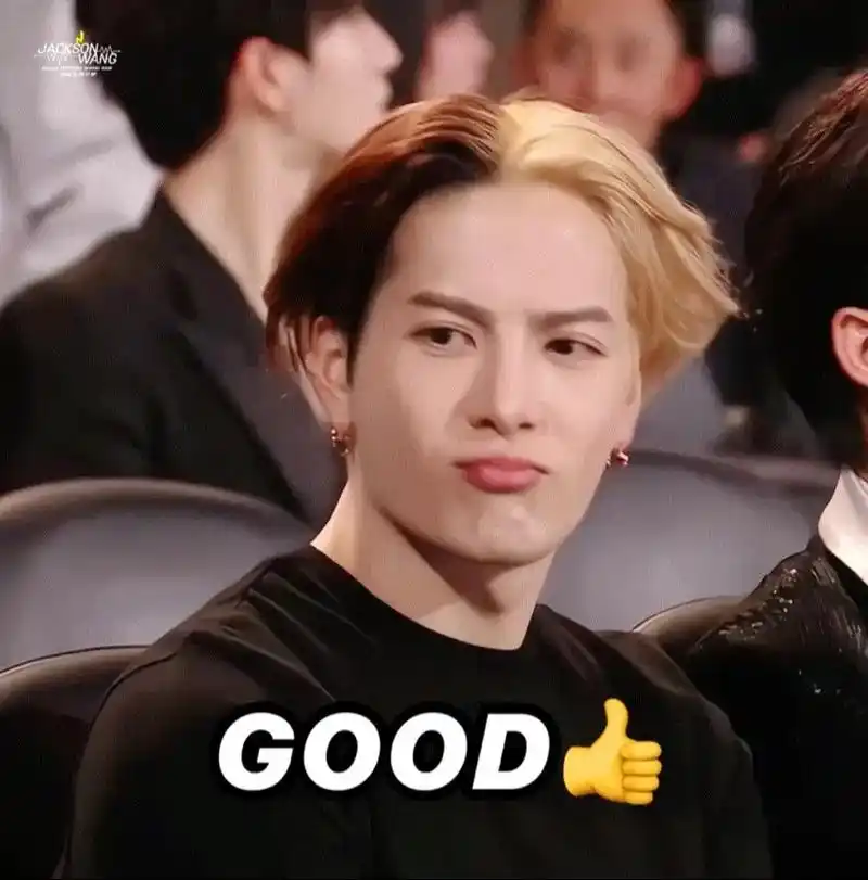 王嘉尔 最具海外影响力艺人#这么可爱的小朋友我一口一个05 - 抖音