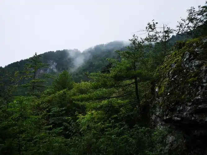 神农架穿越无人区之旅 二