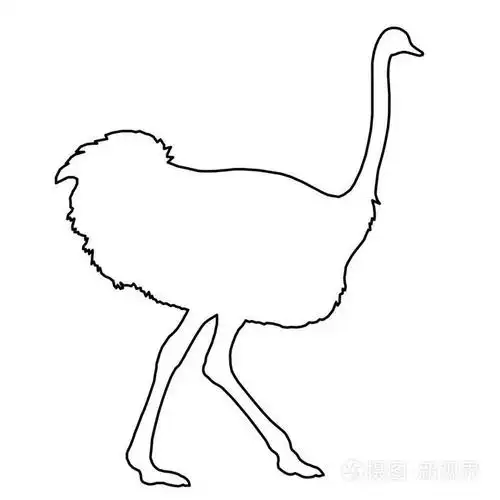鸵鸟在白色背景下运行黑色轮廓曲线.矢量插图