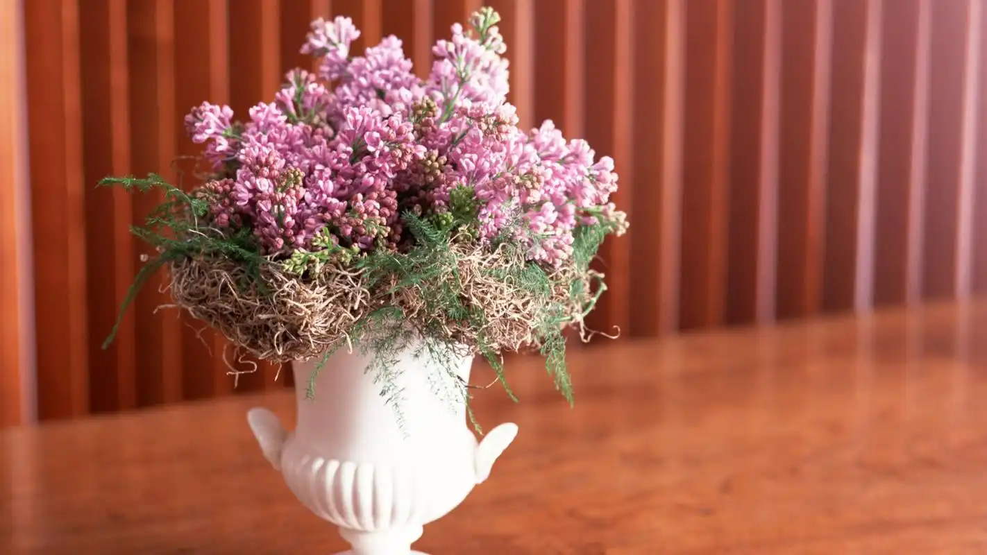 唯美简约家居花卉高清桌面壁纸下载