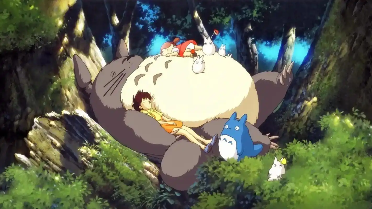 我的抖音生活日记 #龙猫宫崎骏动画 龙猫#治愈系  - 抖音