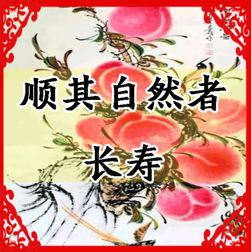 爆笑▎2018年终退休终结