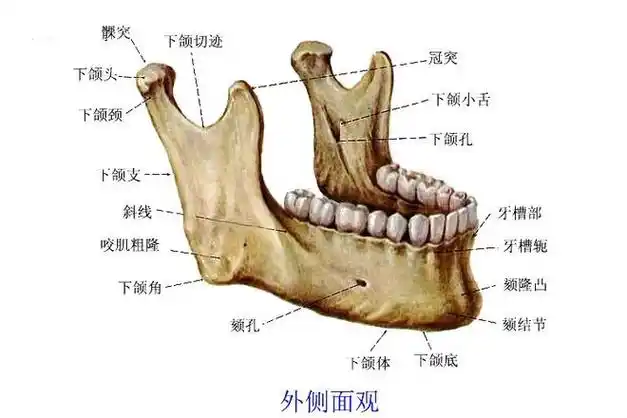 圣嘉新邱立东下颌角整形手术美化面部轮廓的科学方式
