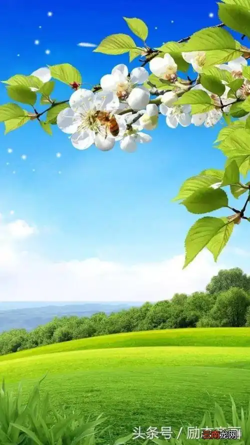 一组看了让人心情大好的图片 让人心情好的图片
