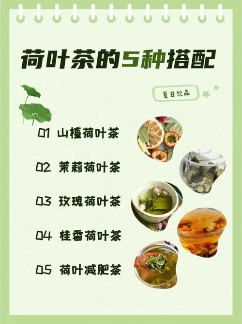 荷叶茶的5种搭配及禁忌小庄分享