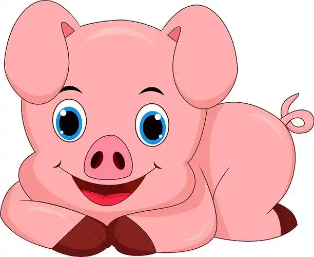可爱的小猪卡通孤立在白色的背景图片