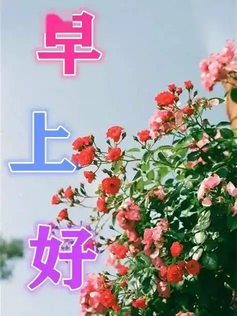 8月30日最新漂亮早上好问候祝福表情图片大全,秋季早安动图美图_人生