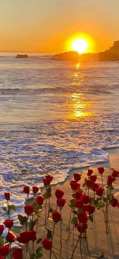 壁纸| ins高级质感363436373039壁纸