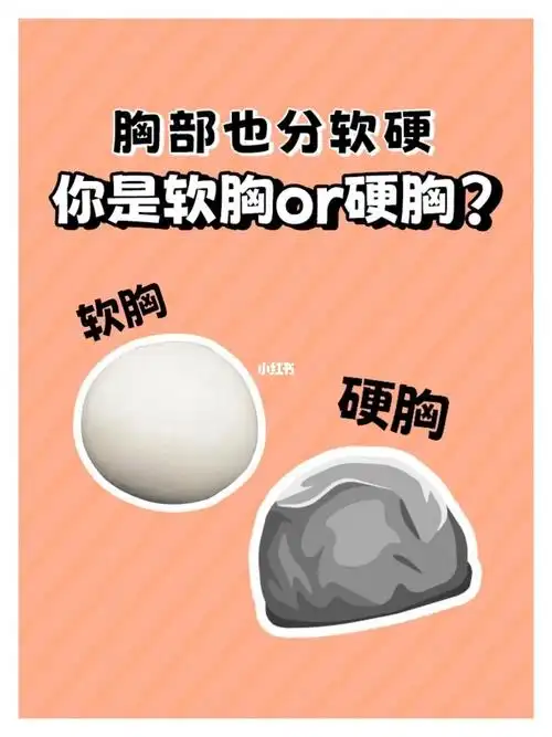 你看看你是软胸还是硬胸