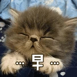 那个不带伞的少年,有一天也会想要躲避一场雨!