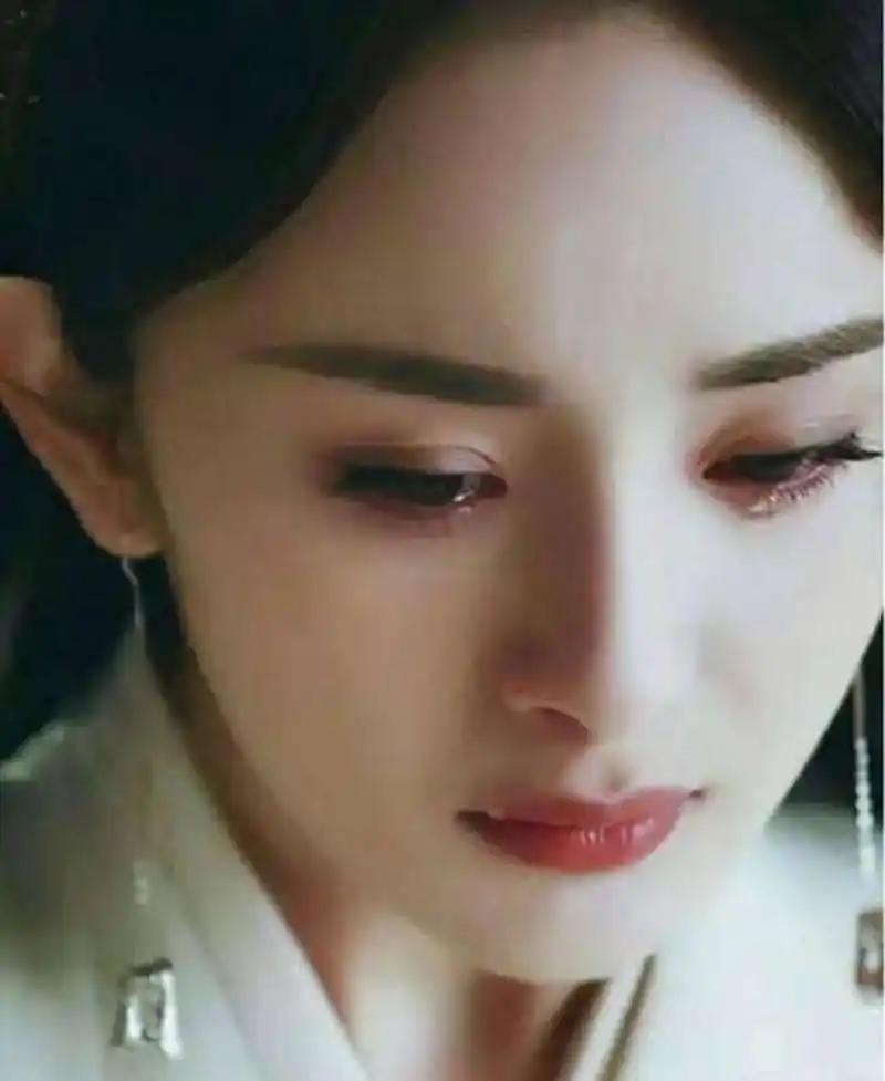 十年来,我对魏元珩的爱意从未改变,然而在他眼中我不过是枚玩物