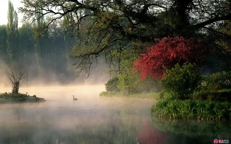 迷蒙晨曦唯美风景壁纸 [20p]_美图共赏_ 013.jpg