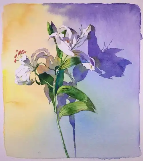 17步,水彩大神教你画唯美百合花!