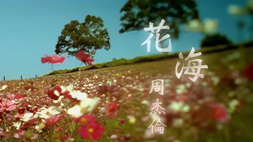 周杰伦《花海》