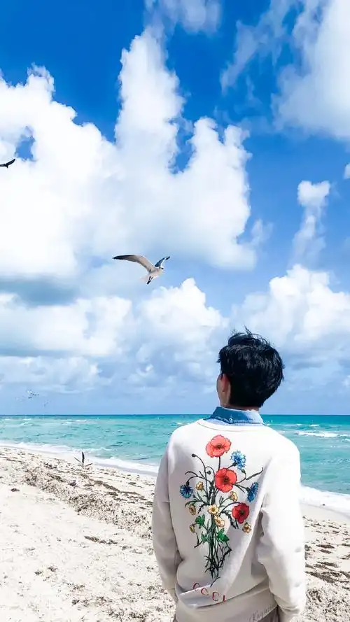 邓伦极限挑战#dl#邓伦密室大逃脱#dl#邓伦博雅#邓伦丨背影组图『我