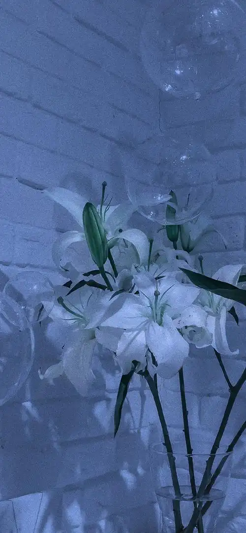 蓝色格调意境摄影高清手机壁纸