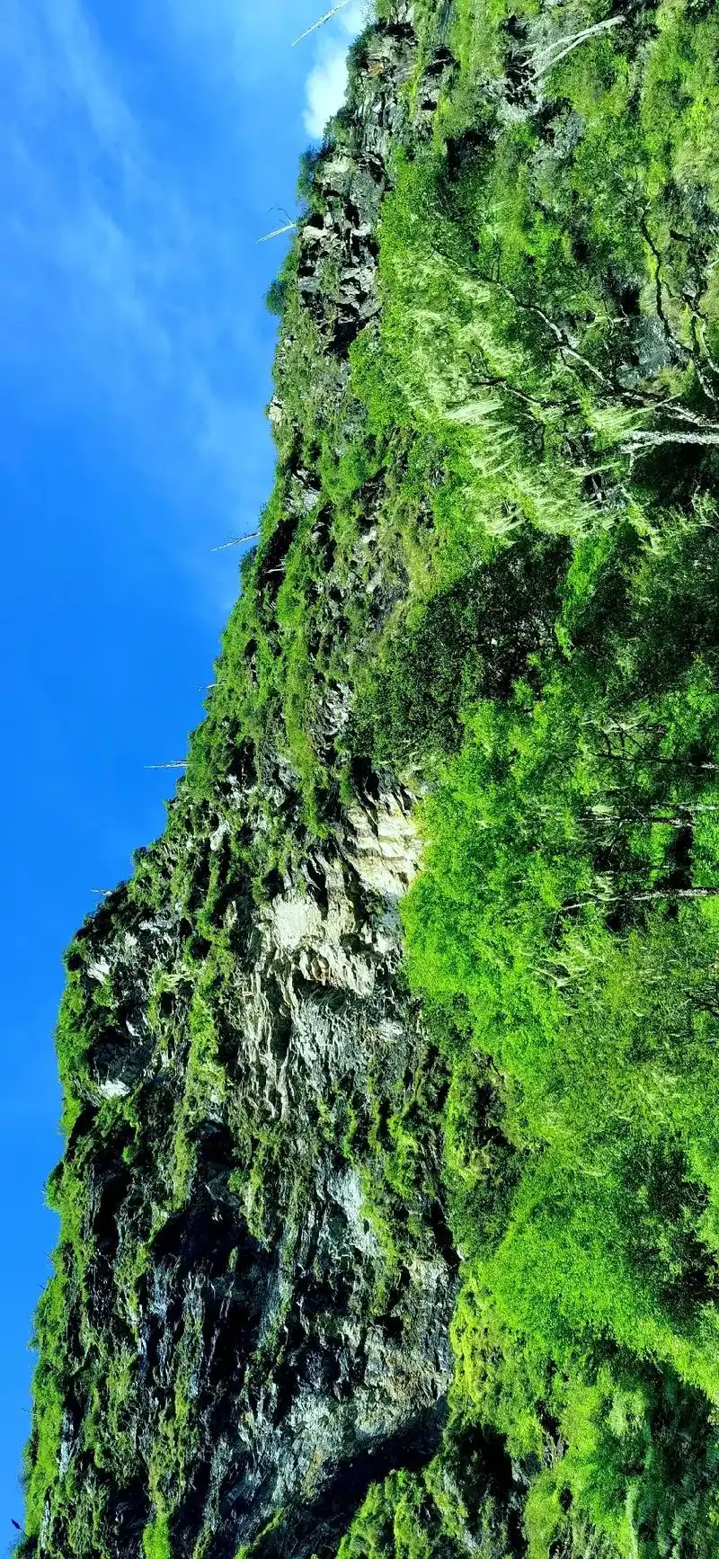 风景优美空气清新 手机照片清理中～～ - 抖音