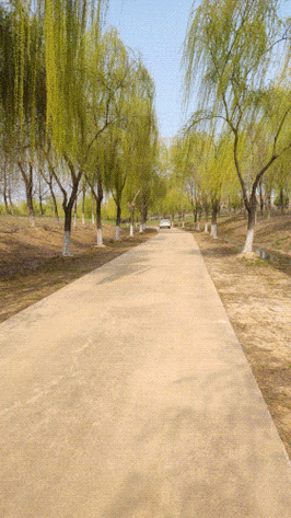 网友提供的,一组横店马路和公园最新图片