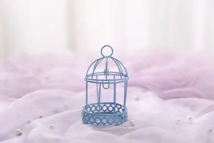 仿真鸟笼迷你拍照道具 少女心拍照道具 ins风鸟笼道具