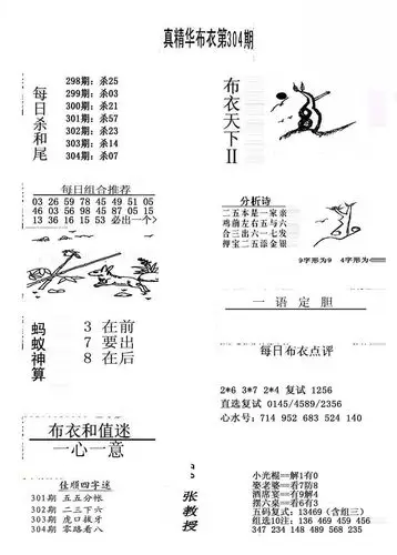 20304期福彩3d 精华布衣图版系列