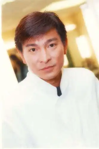 刘德华 andy lau的图片