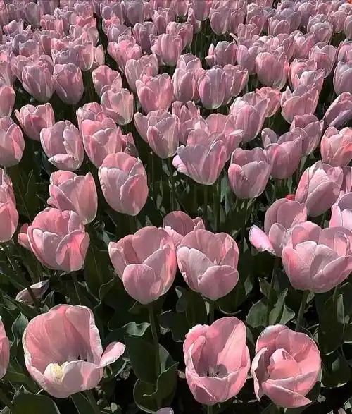 配图- 堆糖,美图壁纸兴趣社区