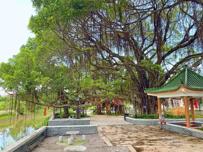 美丽街区|广州番禺区石楼镇:打造宜居宜业美好家园