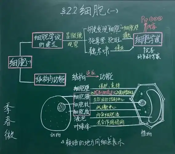 对16位青年教师的板书进行了认真严肃的评比高度的赞扬,这次板书设计