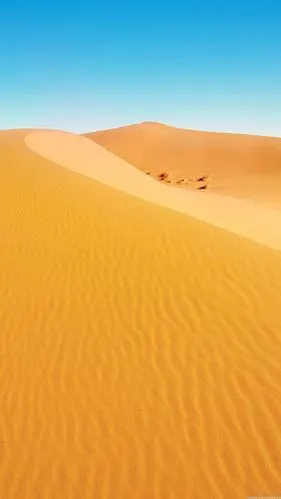 三星手机壁纸【1440x2560】金黄色 沙漠